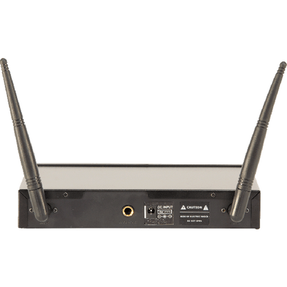 Ibiza Wireless Microphone System (2 channels)-2