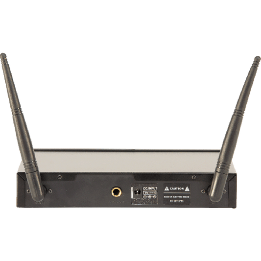 Ibiza Wireless Microphone System (2 channels)